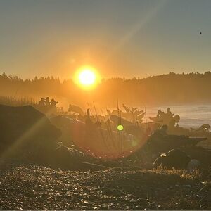 Sterling Silver Necklace w/Natural Stone!
(to make the world feel less shitty)